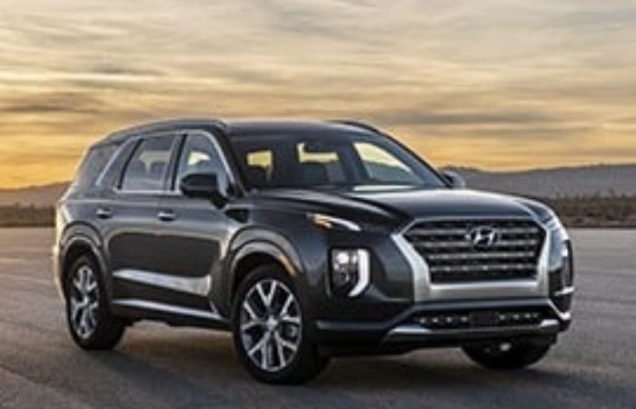 Rottamazione Auto HYUNDAI Palisade SUV Benzina dal 2019 – IN PRUDUZIONE