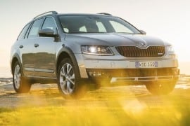 Al momento stai visualizzando Rottamazione Auto SKODA Octavia Scout BERLINA Benzina · Diesel dal 2015 – IN PRUDUZIONE