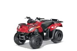 Al momento stai visualizzando Rottamazione Moto ARCTIC CAT 150