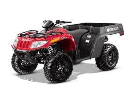 Al momento stai visualizzando Rottamazione Moto ARCTIC CAT TBX