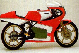 Al momento stai visualizzando Rottamazione Moto CAN-AM/ BRP 250 Road Racer