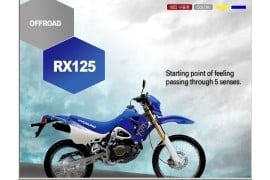 Al momento stai visualizzando Rottamazione Moto HYOSUNG RX