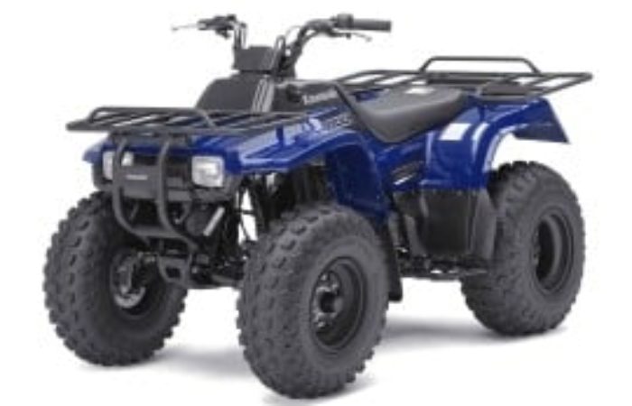 Rottamazione Moto KAWASAKI Bayou