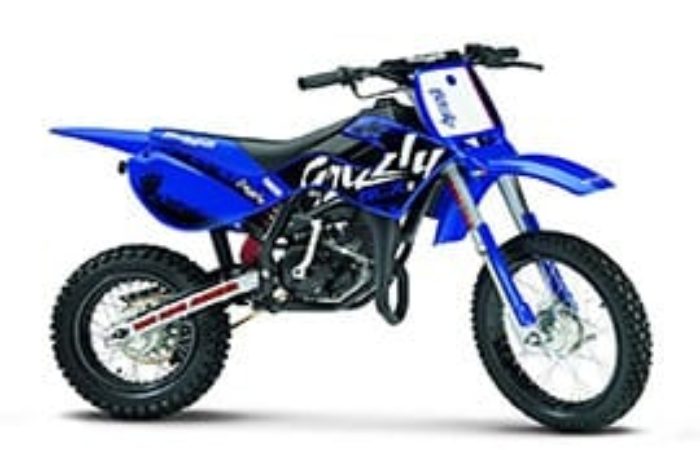 Rottamazione Moto MALAGUTI GRIZZLY