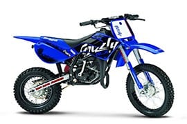 Al momento stai visualizzando Rottamazione Moto MALAGUTI GRIZZLY