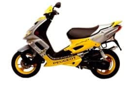 Al momento stai visualizzando Rottamazione Moto PEUGEOT Speedfight