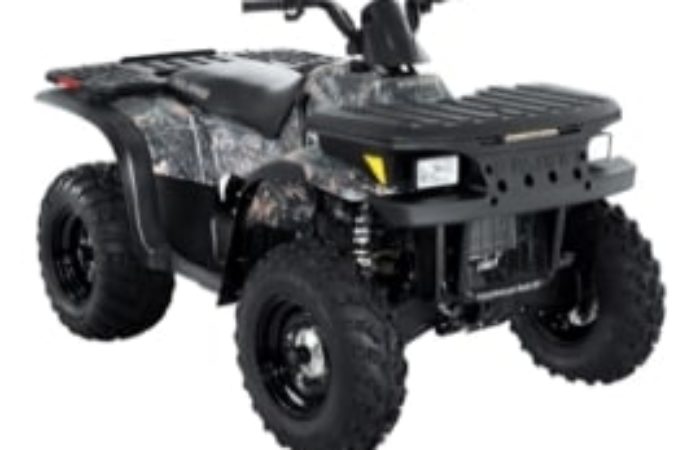 Rottamazione Moto POLARIS Magnum 330