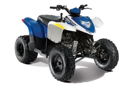 Al momento stai visualizzando Rottamazione Moto POLARIS Phoenix 200